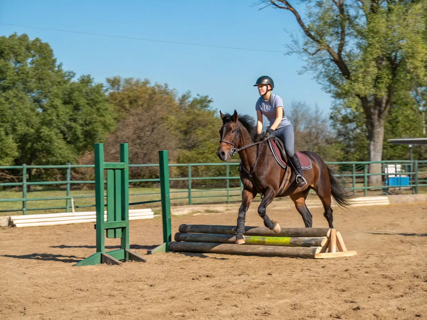 A vibrant scene from a REPENTIGNY JUMP equestrian event, showcasing a horse and rider gracefully navigating a jump, with spectators cheering in the background. The image captures the excitement and skill involved in equestrian sports.